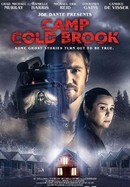 Camp Cold Brook poster image