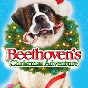 "Beethoven's Christmas Adventure photo 9"