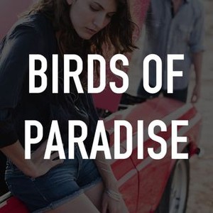 "Birds of Paradise photo 3"