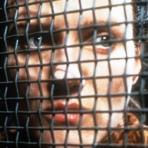 Rosa Luxemburg 1986 Rotten Tomatoes
