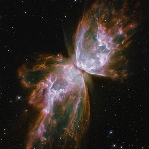 Hubble | Rotten Tomatoes