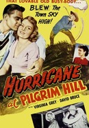 Hurricane at Pilgrim Hill poster image