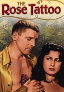 The Rose Tattoo poster image