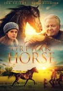 Orphan Horse poster image