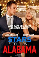 Stars Fell on Alabama poster image