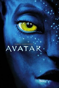 Avatar Movie Quotes Rotten Tomatoes