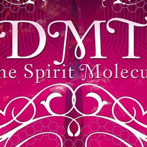 DMT: The Spirit Molecule photo 5
