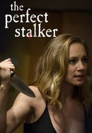 The Perfect Stalker poster image