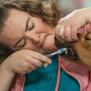 Animal Practice, Betsy Sodaro, 'Clean Smelling Pirate', Season 1, Ep. #3, 10/03/2012, ©NBC