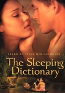 The Sleeping Dictionary poster image