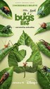 A Real Bug's Life