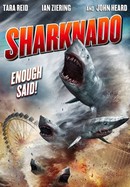 Sharknado poster image