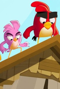 206px x 305px - Angry Birds: Summer Madness: Season 1, Episode 1 - Rotten Tomatoes