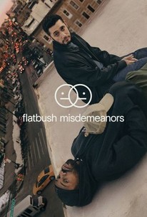 Flatbush Misdemeanors: Season 1 poster image