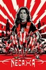Poster for 