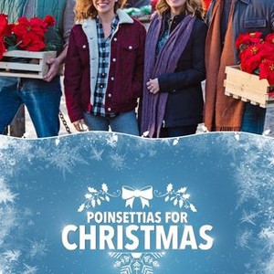 Poinsettias for Christmas - Rotten Tomatoes