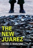 The New Juarez poster image