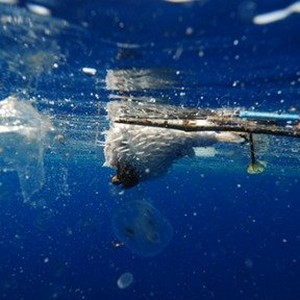 A scene from "A Plastic Ocean." photo 17