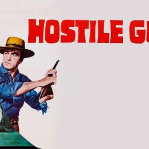 Hostile Guns photo 4