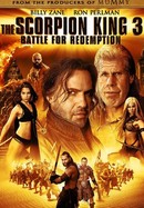 The Scorpion King 3: Battle for Redemption poster image