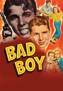 Bad Boy poster image
