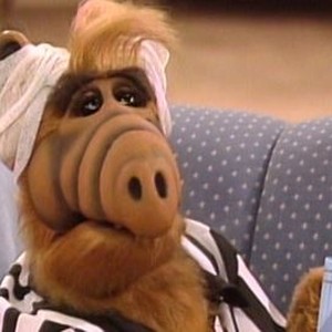 ALF: Season 3, Episode 2 - Rotten Tomatoes