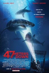 Relatieve grootte Verdampen Redding 47 Meters Down - Rotten Tomatoes