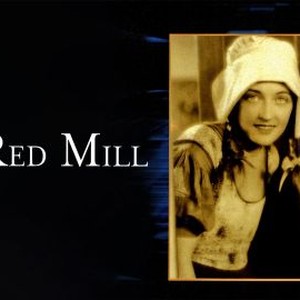 The Red Mill photo 5