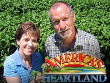 Heartland season 12 episodes top
