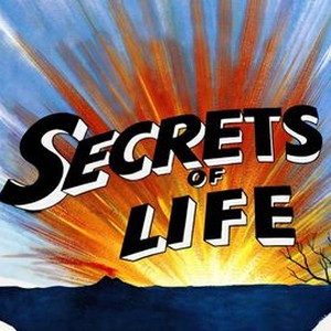 "The Secrets of Life photo 12"