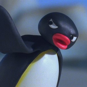 Pingu S New Scooter Pictures Rotten Tomatoes