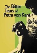 The Bitter Tears of Petra von Kant poster image