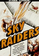 Sky Raiders poster image