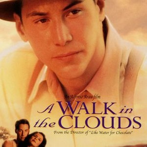 A Walk in the Clouds (1995) photo 11