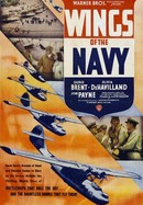 Wings of the Navy poster image