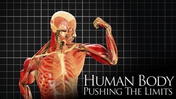 The Human Body: Pushing the Limits | Rotten Tomatoes