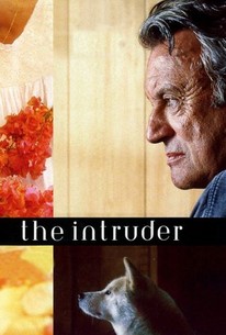 The Intruder poster