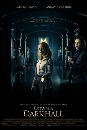 Down a Dark Hall poster