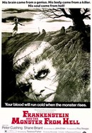 Frankenstein and the Monster From Hell poster image