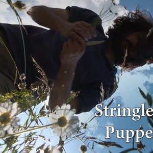 Stringless Puppets - Rotten Tomatoes