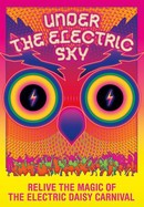 Under the Electric Sky poster image