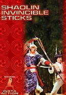 Shaolin Invincible Sticks poster image