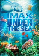 Under the Sea poster image