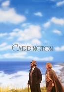 Carrington poster image