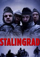 Stalingrad poster image