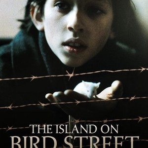 "The Island on Bird Street photo 6"