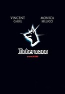 Dobermann poster image