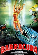 Barracuda poster image