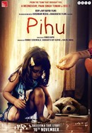 Pihu poster image