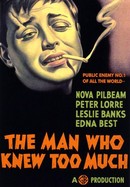 The Man Who Knew Too Much poster image